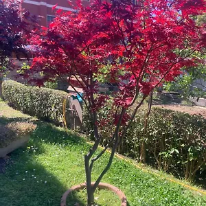 Appartamento Delizioso In Tra Mare E Citta, Acilia